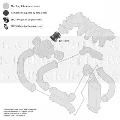 BORG & BECK bth1239 -  Трубка нагнетаемого воздуха